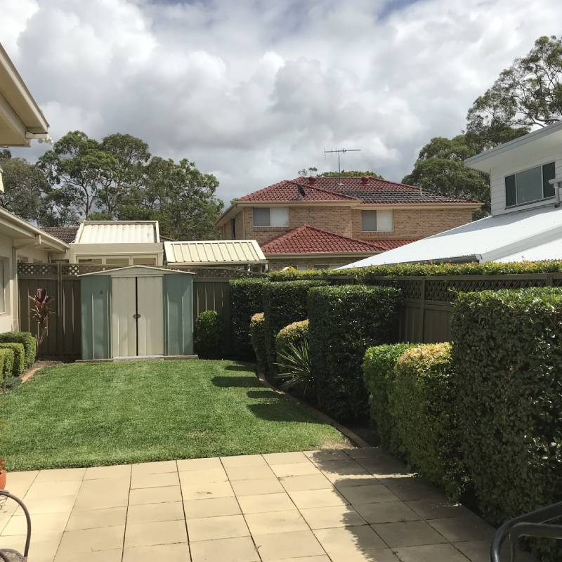 Native garden planting