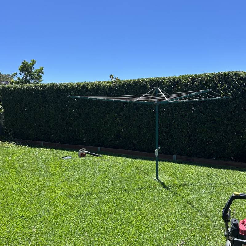 Lawn care and maintenance